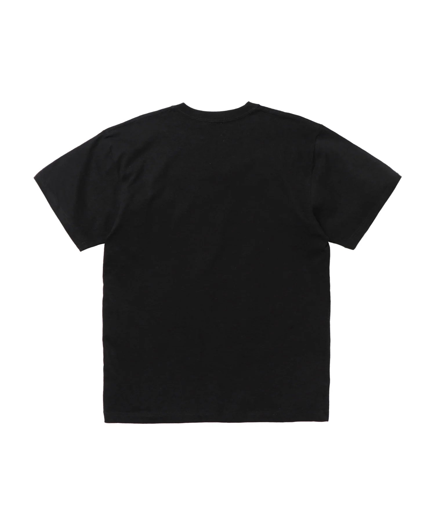 Ukiyo-e Souvenir T-shirt FRC2363