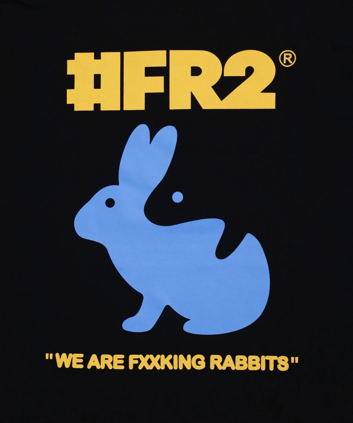 Trick Art Rabbit [FRC3717]