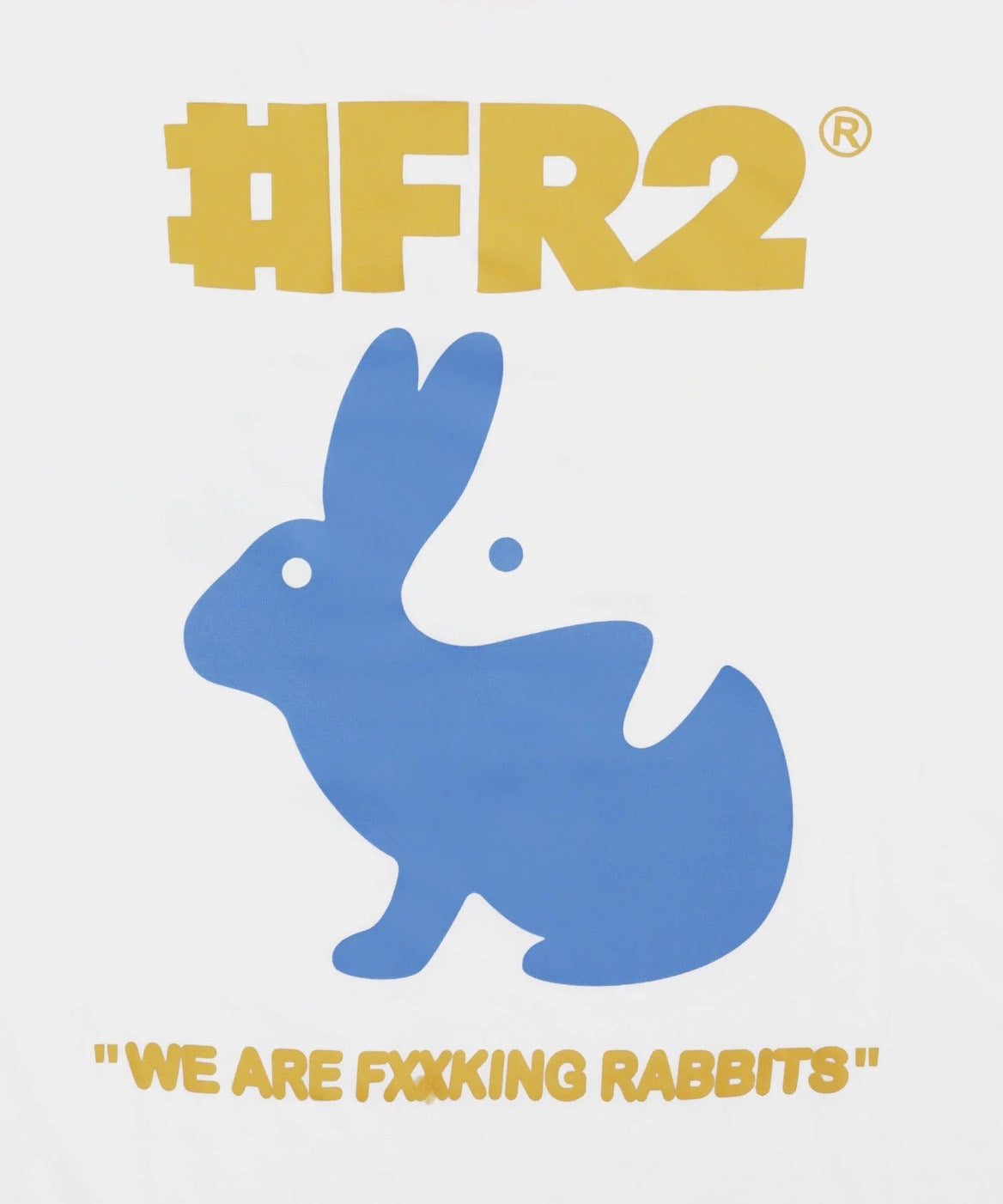 Trick Art Rabbit [FRC3717]