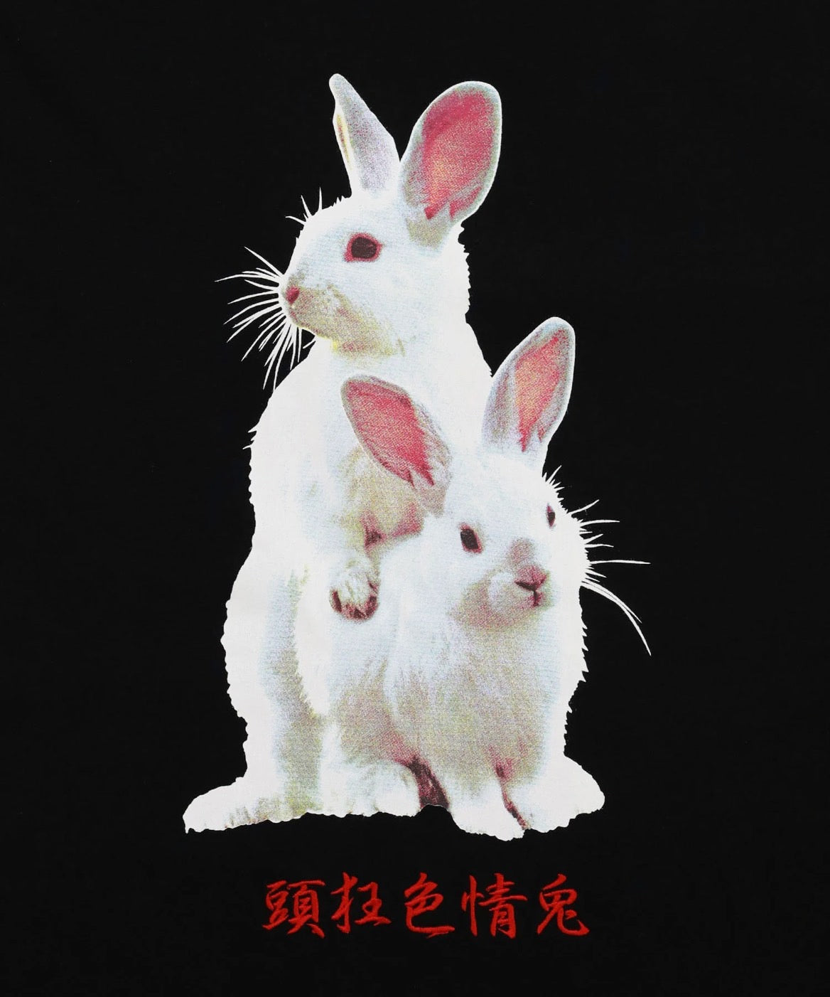 Fxxking Rabbits Photo T-shirt [FRC3891]
