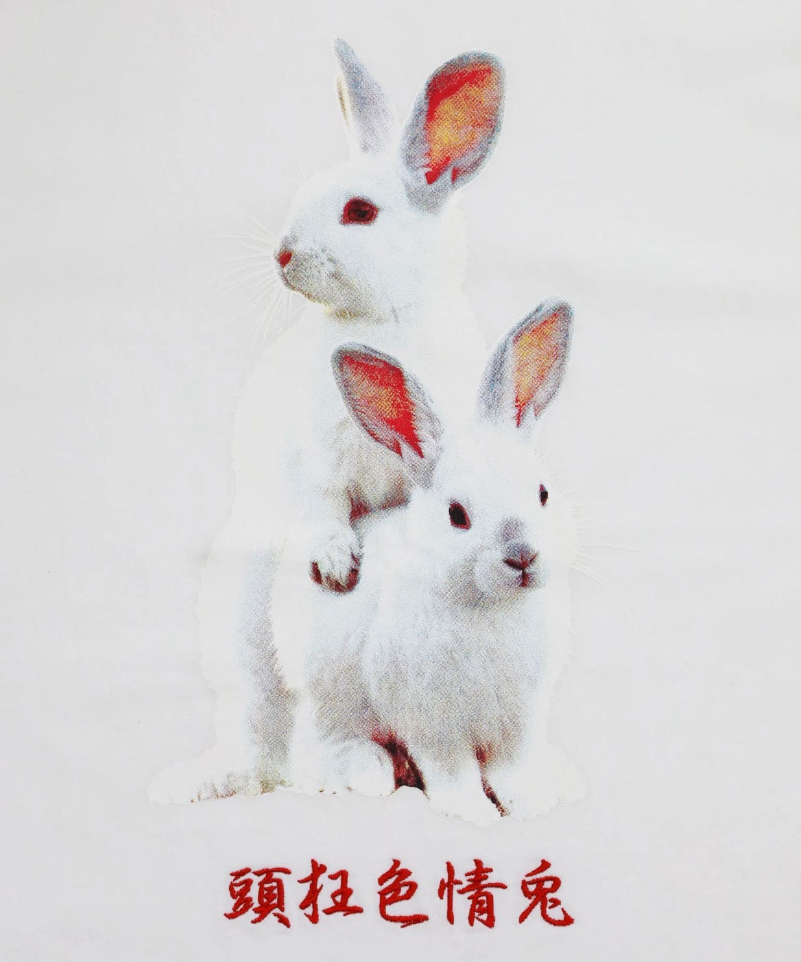 Fxxking Rabbits Photo T-shirt [FRC3891]